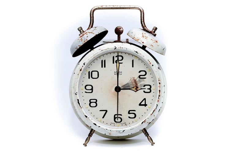 The Time Traveler's Wife